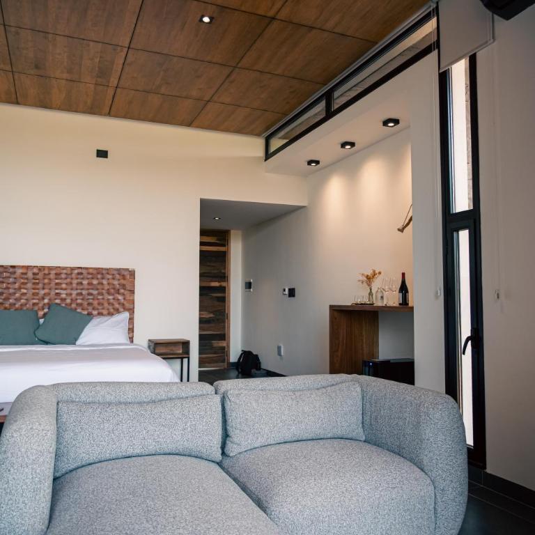 Boutique Hotel Bodega CICLO ANDINO - Deluxe Double or Twin Room with Mountain View - 17