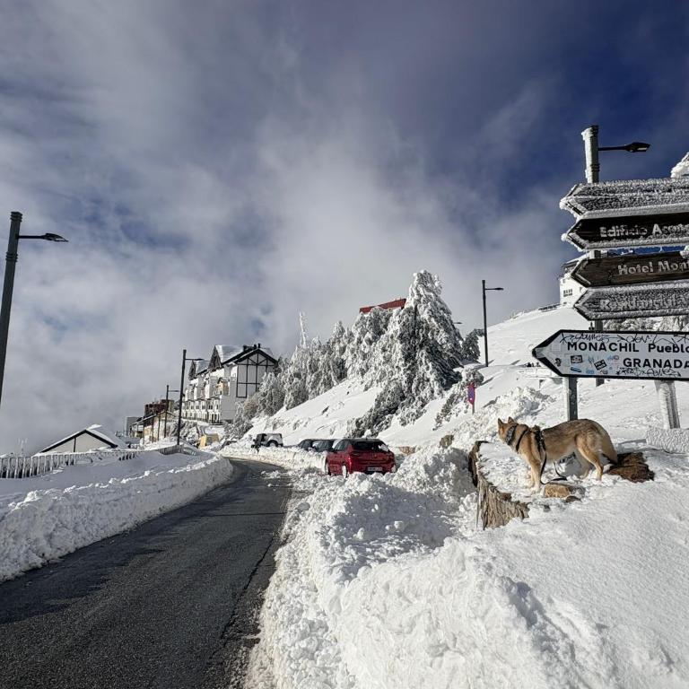 SnowGranada Parking telecabina Pradollano Include - Apartamento de 1 dormitorio con balcón y vistas a la montaña - 32