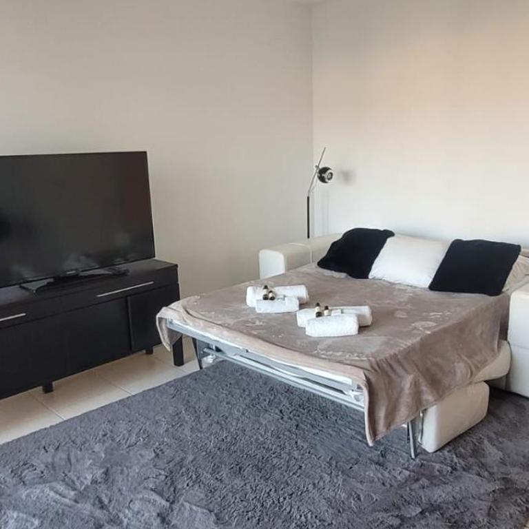Centre Cannes Bristol - Appartement 1 Chambre - 8