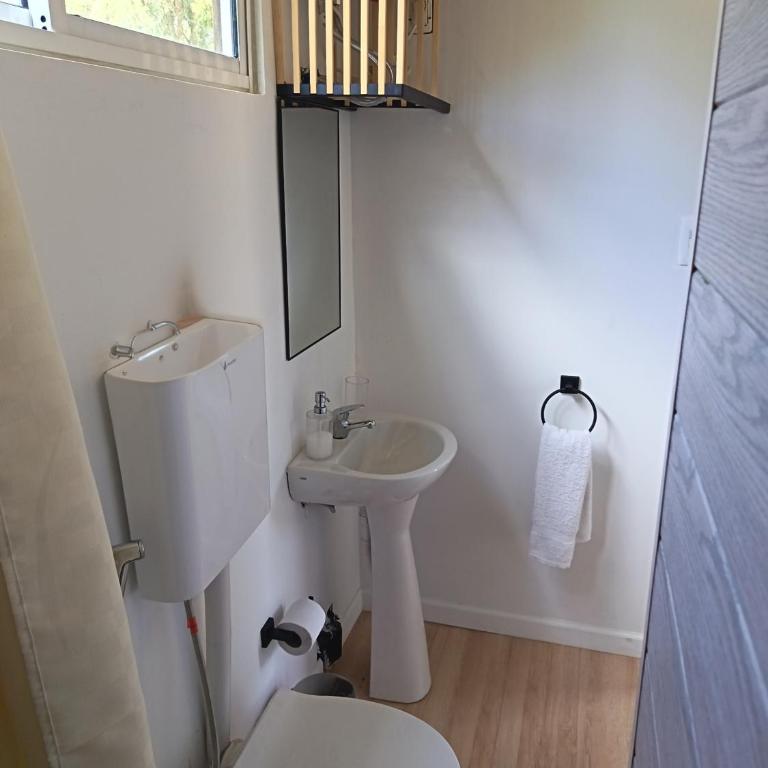 Cabaña Esencia - One-Bedroom Apartment - 10