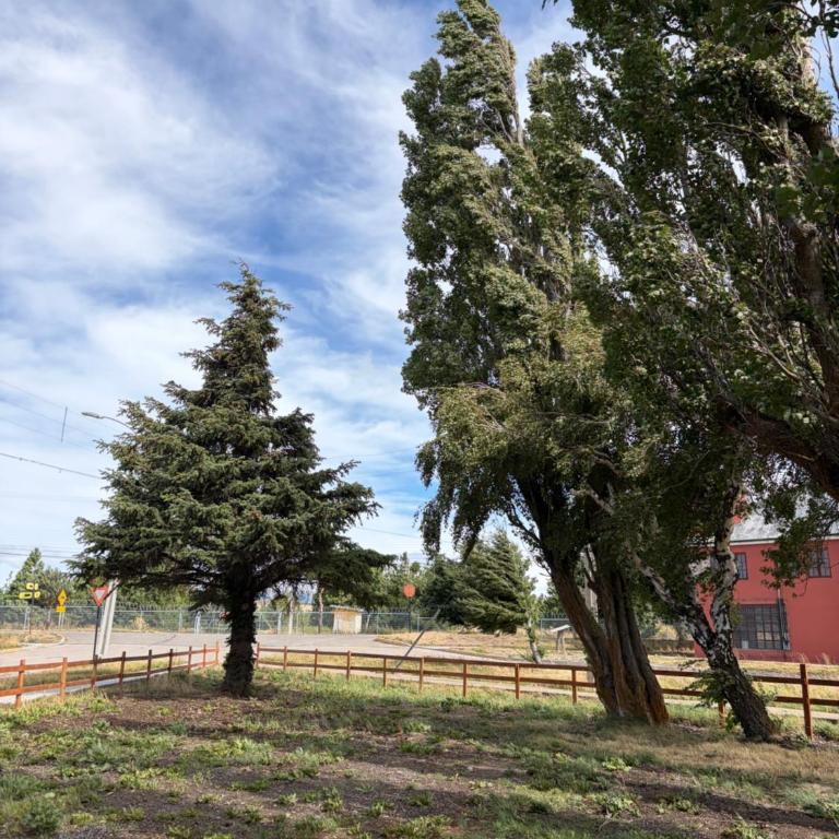 Nomade Balmaceda - One-Bedroom Apartment - 22