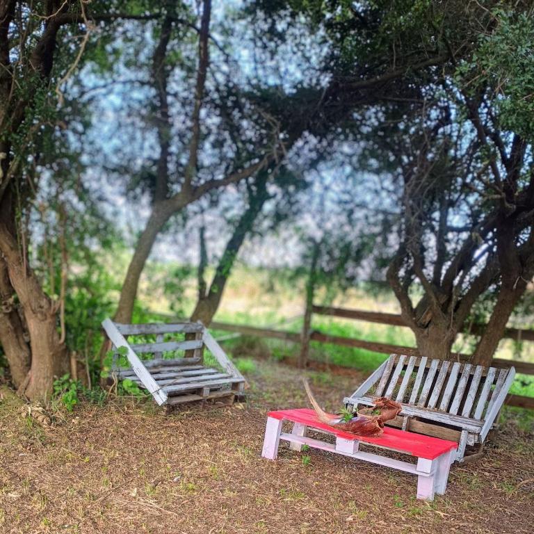Casa Colibrí Azul experiencia en la naturaleza - One-Bedroom House - 34