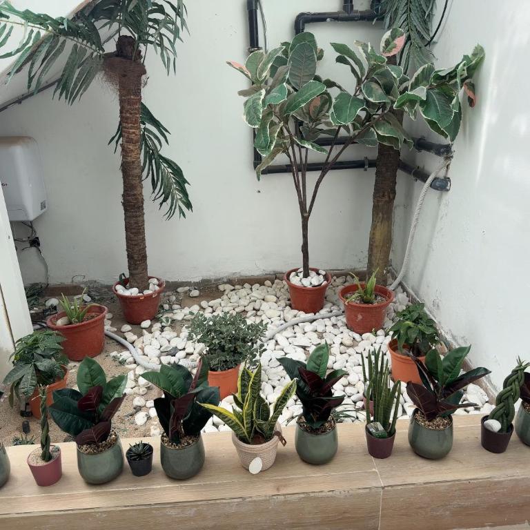 VILLA JoHNNY - Apartamento - 38