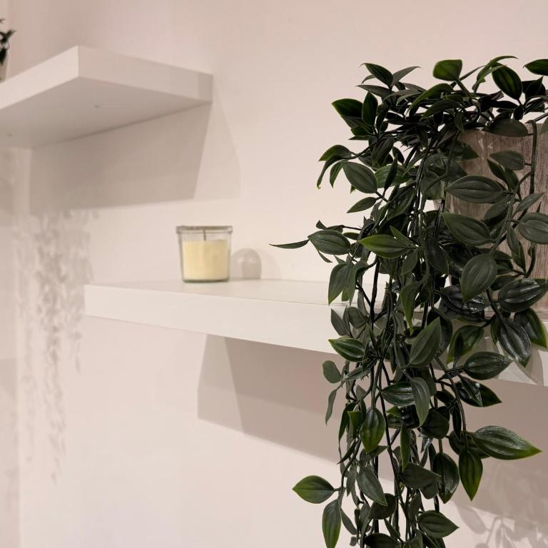 Re di Roma Living - Appartamento - 14