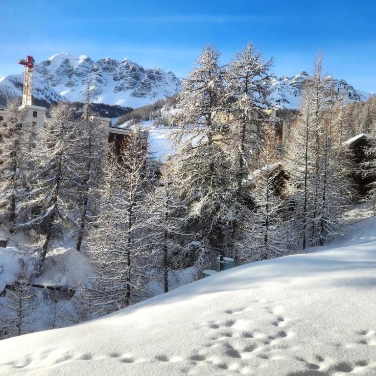 Studio Vars les Claux proche des pistes - One-Bedroom Apartment - 4