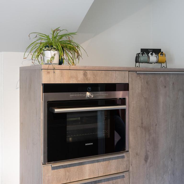 Interlaken Apartments - Apartment with Terrace - Adults only - 8
