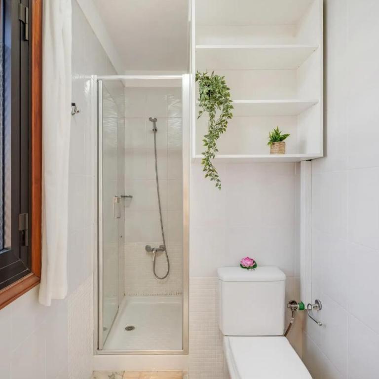 Atico Cardon Beach - Apartamento de 1 dormitorio - 17