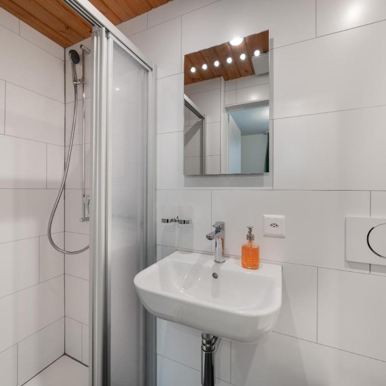 Interlaken Apartments - Camera Matrimoniale Budget - 4