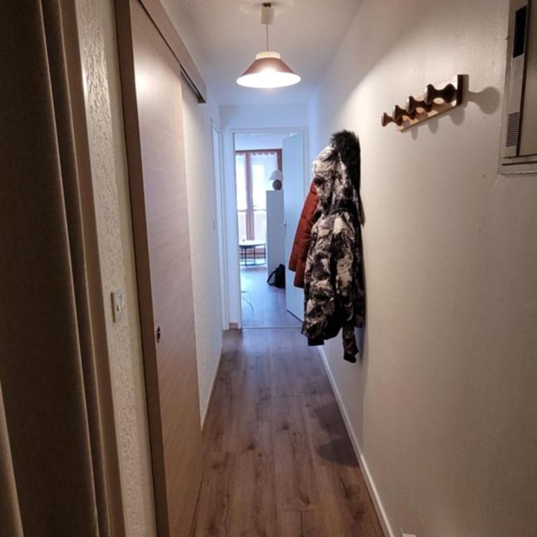 Appartement cosy Saint Lary Soulan - Appartamento con 1 Camera da Letto - 9