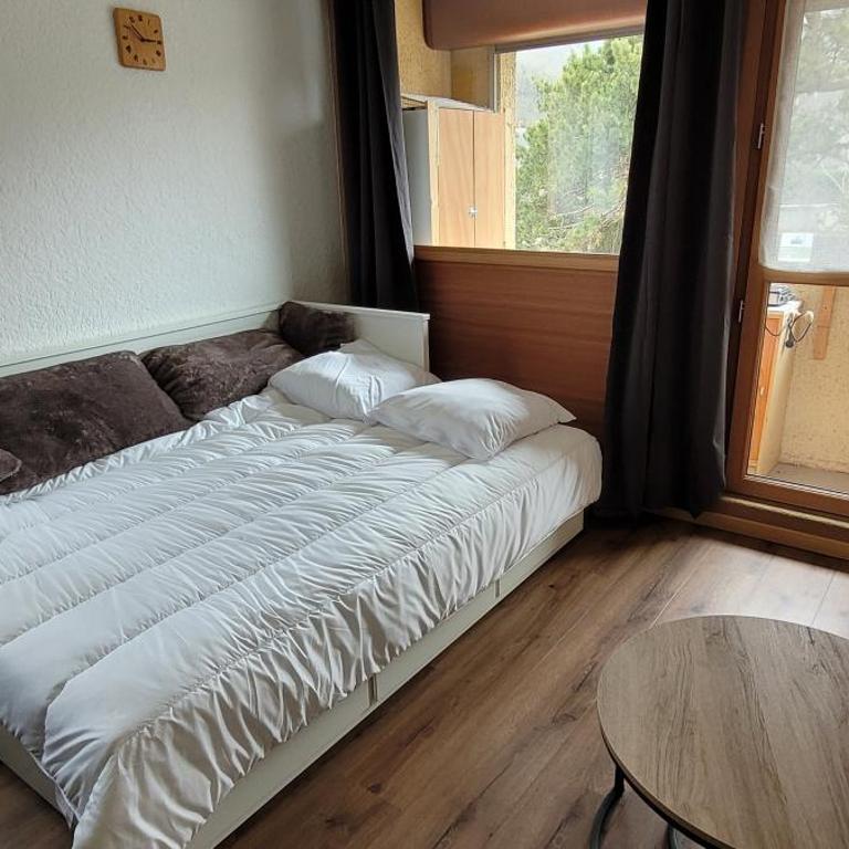 Appartement cosy Saint Lary Soulan - Appartamento con 1 Camera da Letto - 4