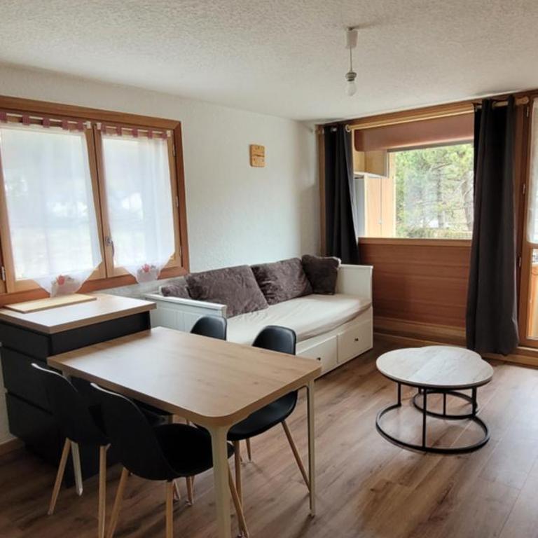 Appartement cosy Saint Lary Soulan - Appartamento con 1 Camera da Letto - 1