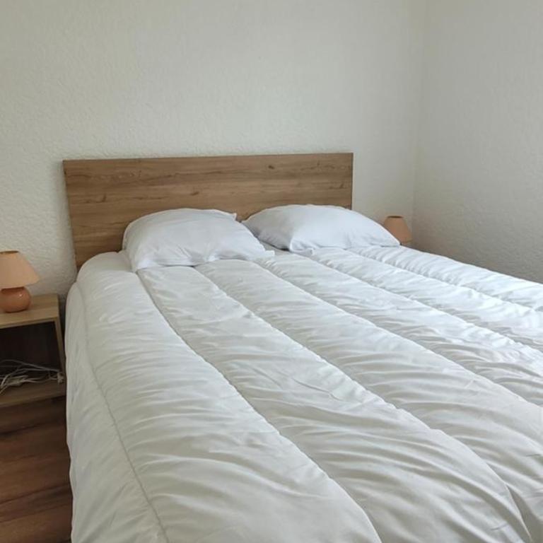 Appartement cosy Saint Lary Soulan - Appartamento con 1 Camera da Letto - 8