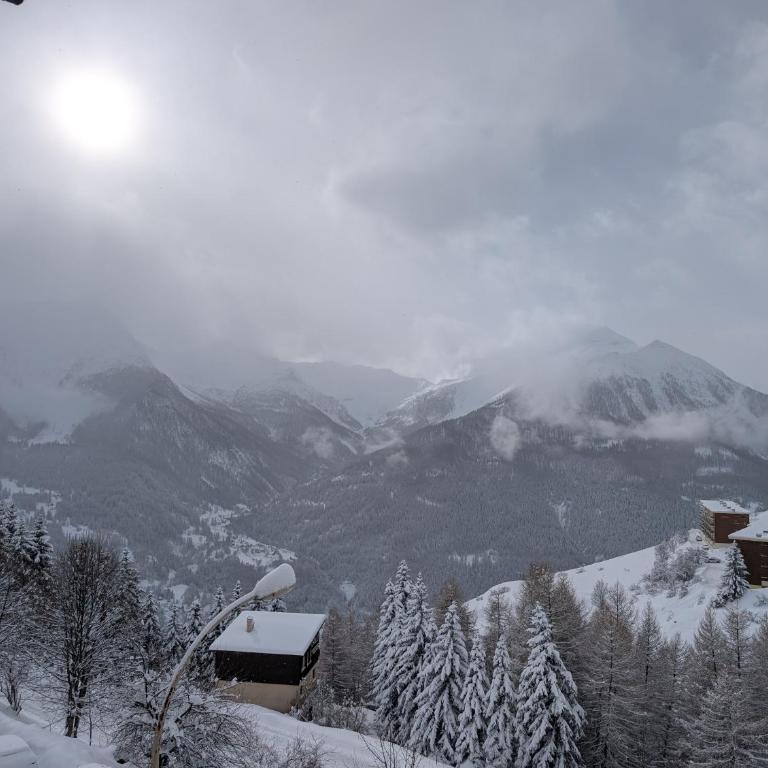 Le Palladium T2 1 chambre à 5mn des pistes avec garage - Appartement 1 Chambre - 33
