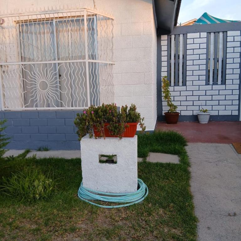 Casa Turistas pinamarga - Two-Bedroom House - 11