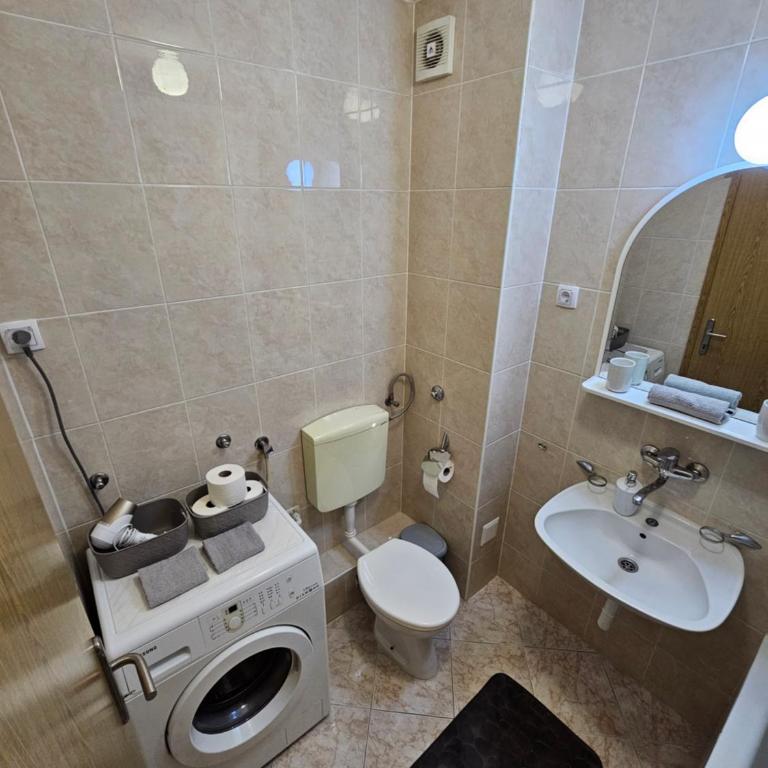 BS Center Apartment - One-Bedroom Apartment - 5