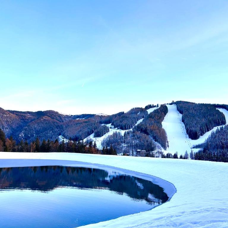 Villa Natalie - Panorama Apartment mit Bergblick, Semmering - Apartment mit 1 Schlafzimmer - 19
