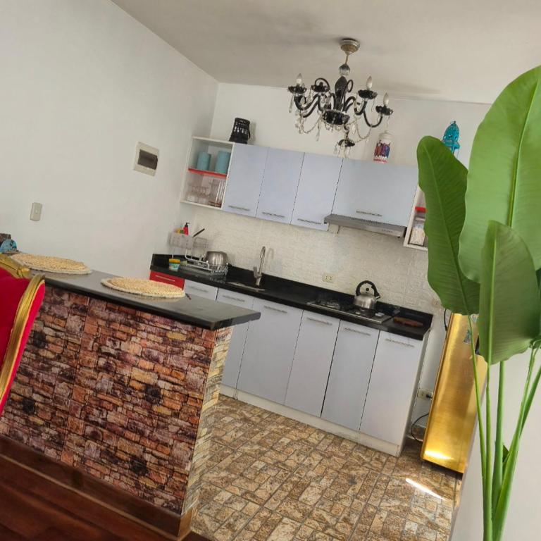 Excelente Departamento las viñas - One-Bedroom Apartment - 1