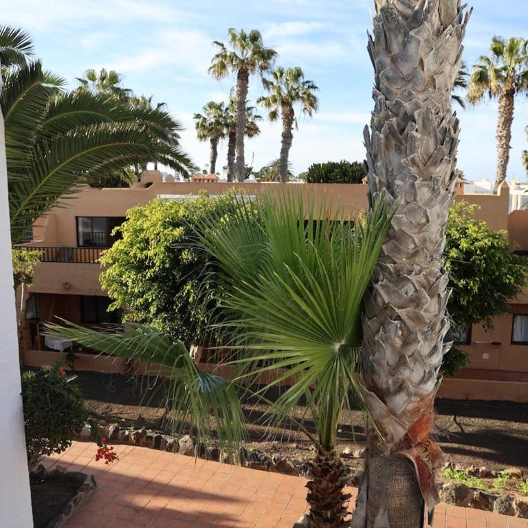 Sabinas place - Apartamento de 1 dormitorio - 36