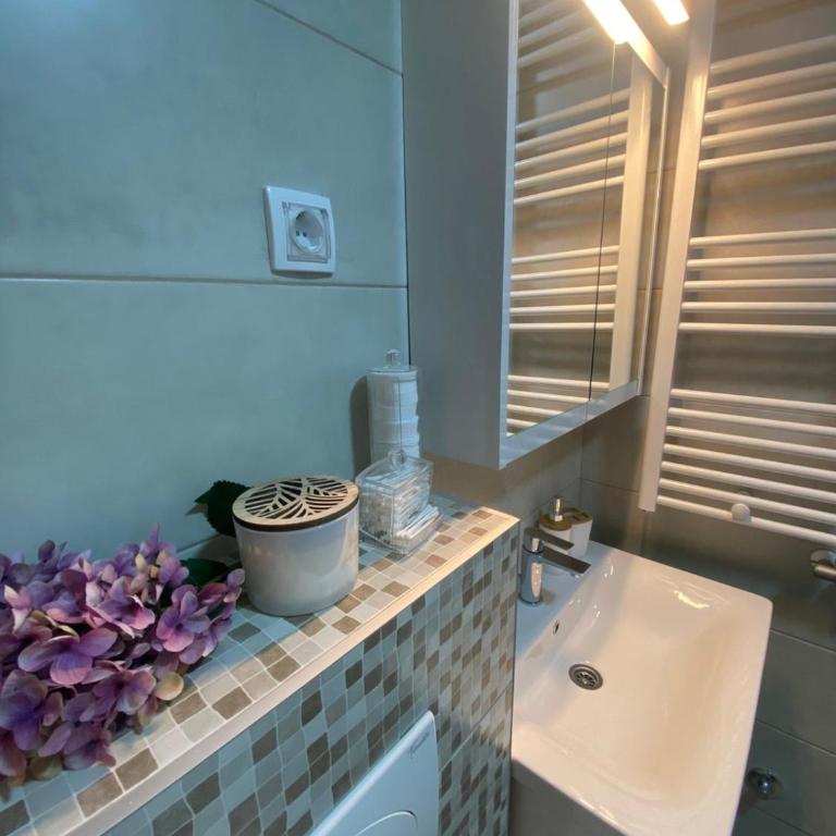 La Casetta -Banja Koviljača - Apartman sa 1 Spavaćom Sobom - 4