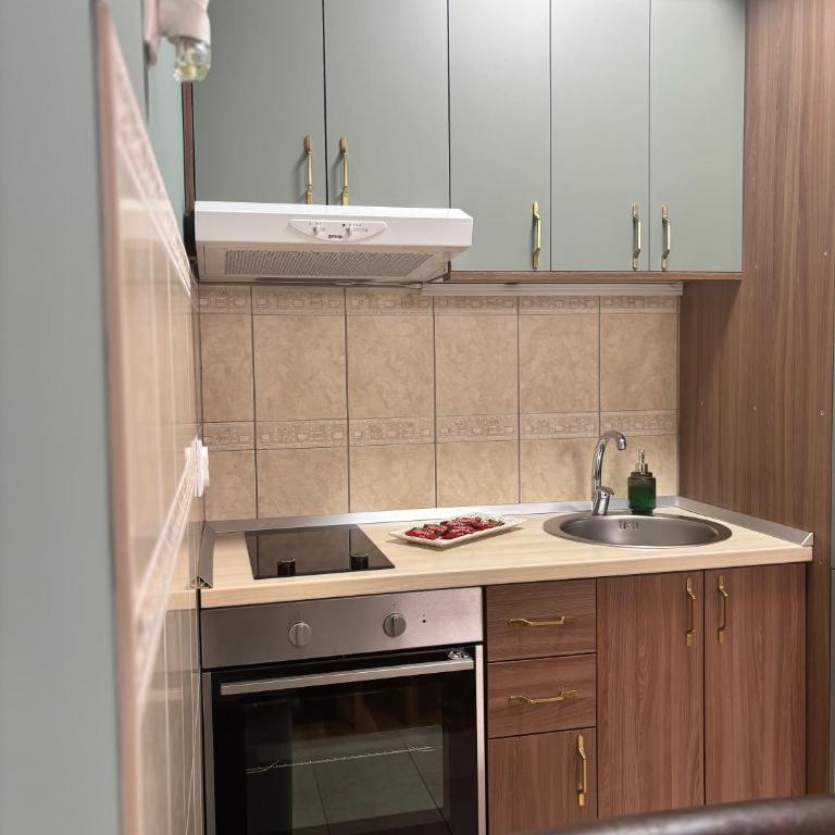 Alex apartman - Apartman - Prizemlje - 6