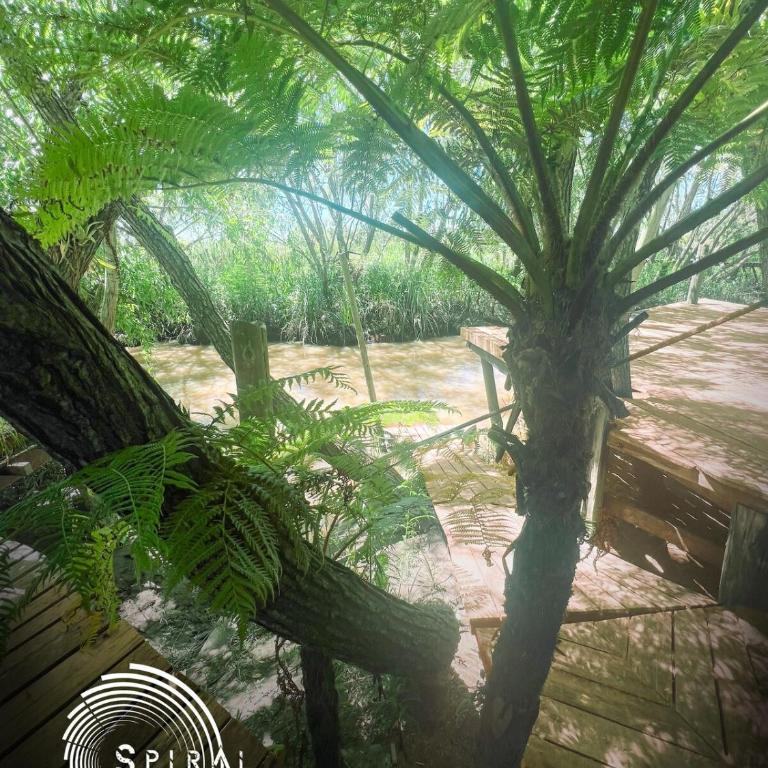 Spiral Living Bridge - Hanging House, Natural Design - Villa de 1 dormitorio - 16