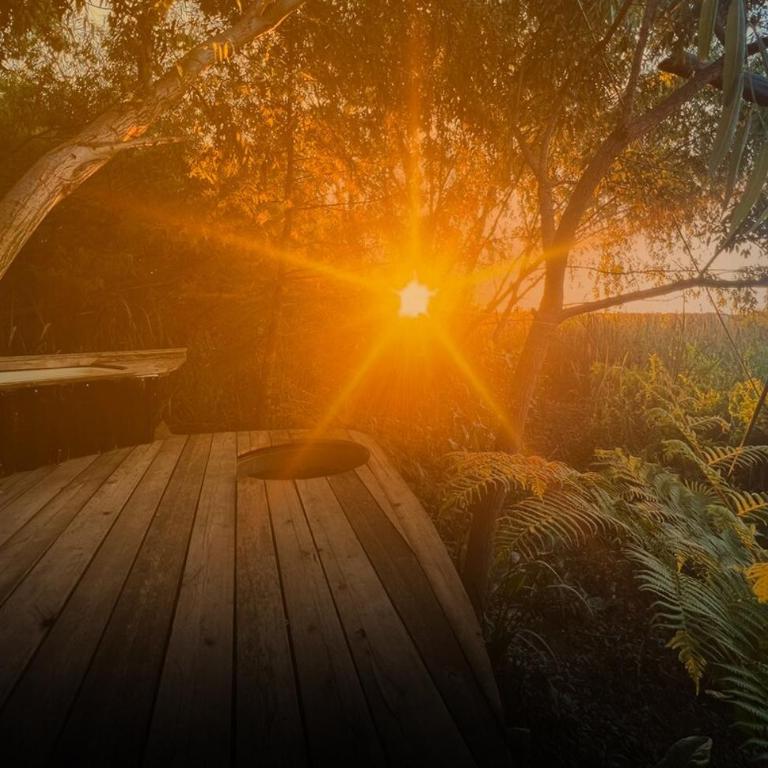 Spiral Living Bridge - Hanging House, Natural Design - Villa de 1 dormitorio - 20