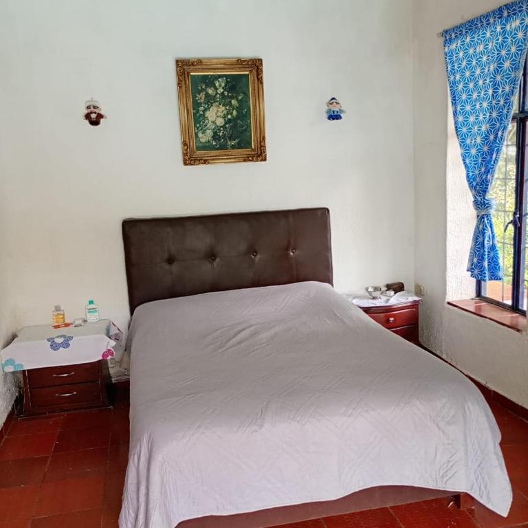 HACIENDA EL PORVENIR - Suite con balcón - 1