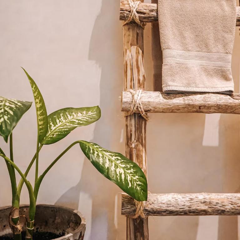 CASA TIRA - Your Luxury Jungle Mansion in Tulum - Villa - 52