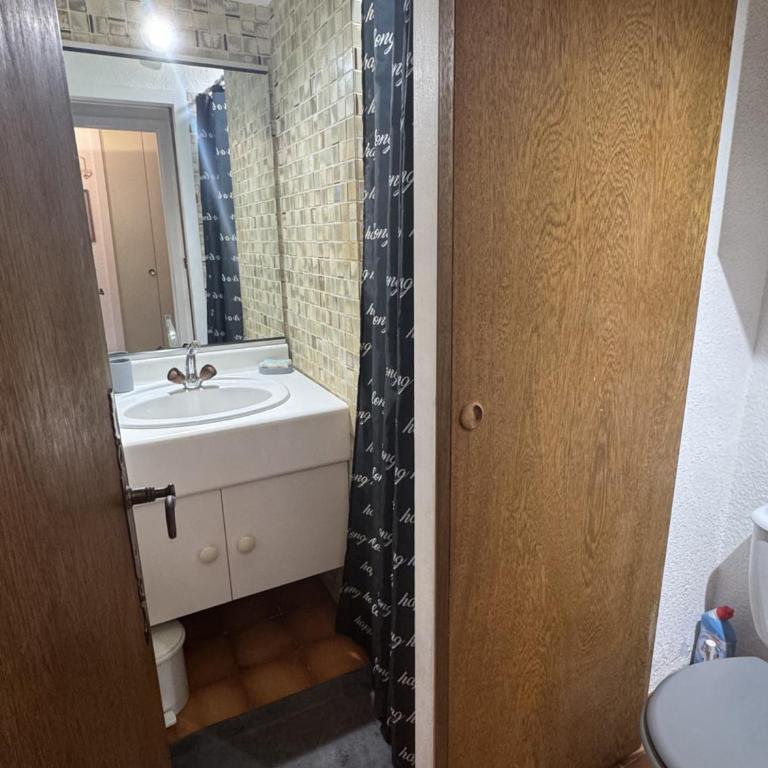 Studio Cabine 4 Pers, Animaux Admis, Arâches-la-Frasse - FR-1-836-66 - Studio - 3