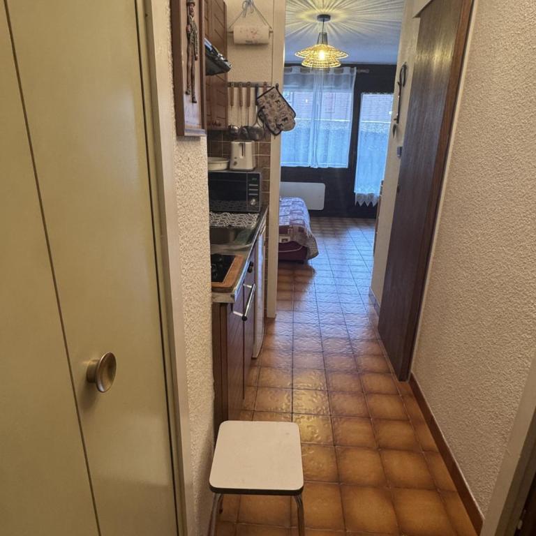 Studio Cabine 4 Pers, Animaux Admis, Arâches-la-Frasse - FR-1-836-66 - Studio - 6
