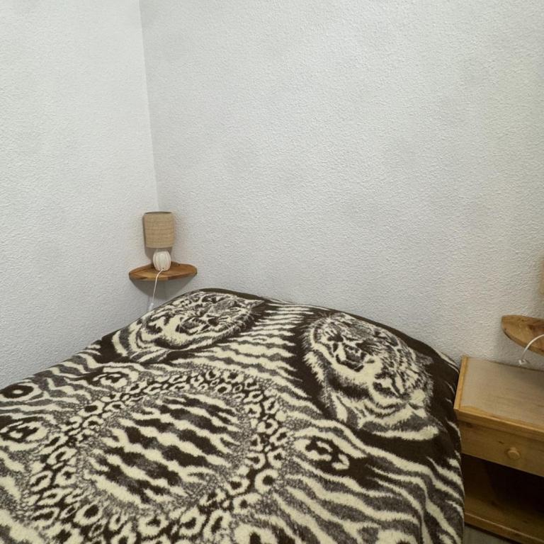 Studio Cabine 4 Pers, Animaux Admis, Arâches-la-Frasse - FR-1-836-66 - Studio - 7