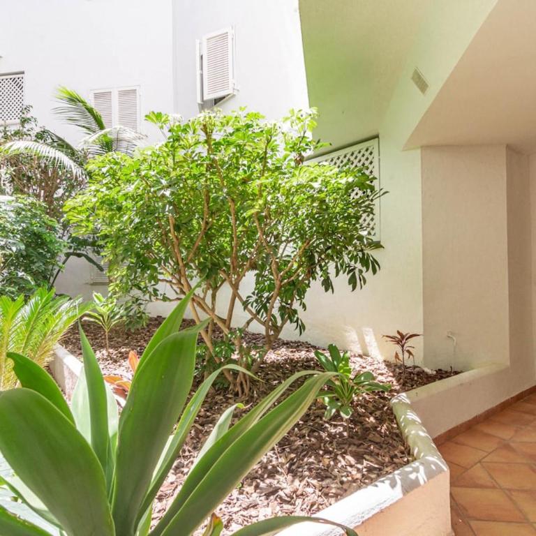 PR20 - Good located flat Puerto Banus - Apartamento - 31