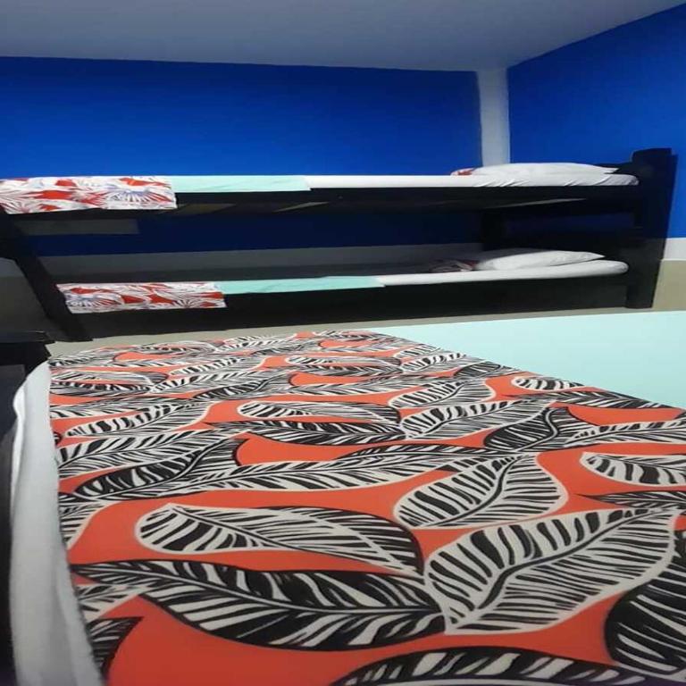 Caribe Sunshine Gold Hostel 1 habitacion - Apartamento de 1 dormitorio - 30