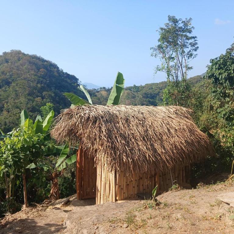 Private jungle accommodation with waterfall - Casa - 17