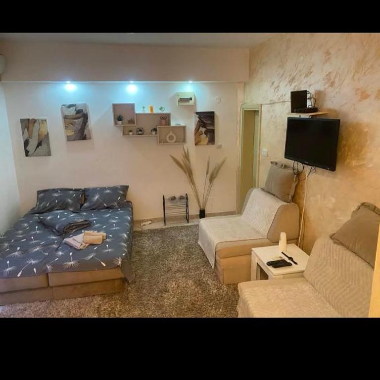 ---Studio Radosavljevic--- - Apartman - 3