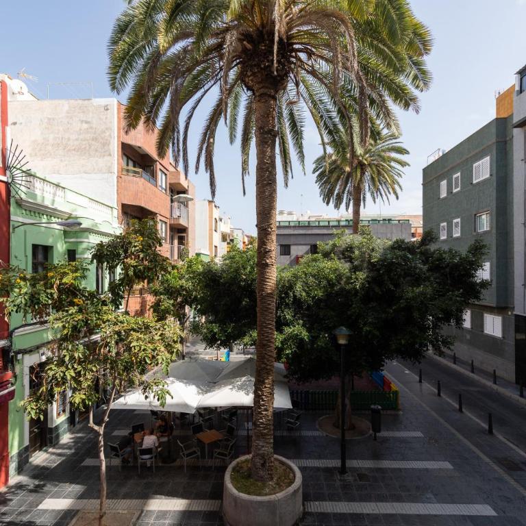 Edison Building By CanariasGetaway - Estudio 102 - 3