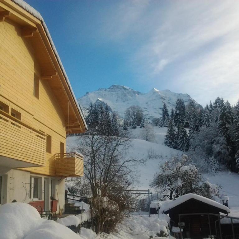 Chalet Viola - Verena's Loft - Apartment mit Blick auf die Berge - 25