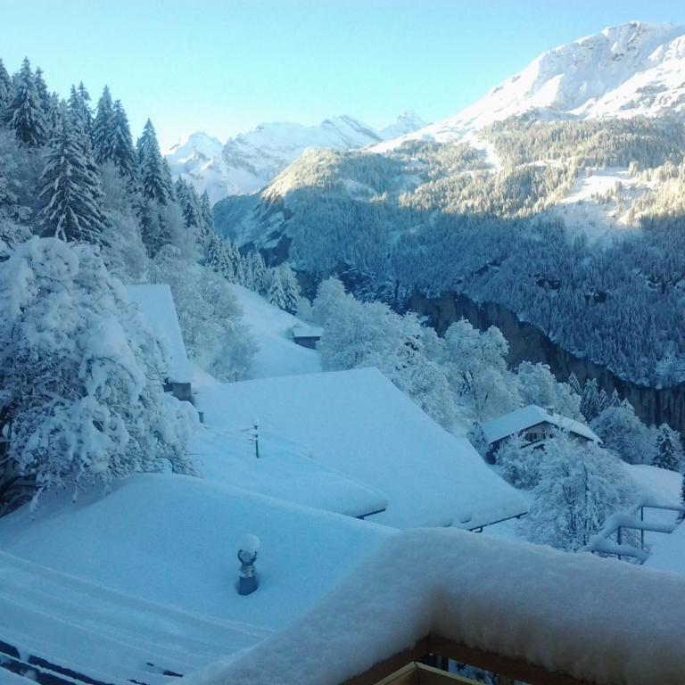 Chalet Viola - Verena's Loft - Apartment mit Blick auf die Berge - 21