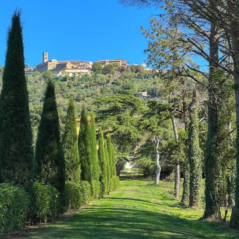 Un Angolo nel Borgo - Appartamento con 2 Camere da Letto - 39
