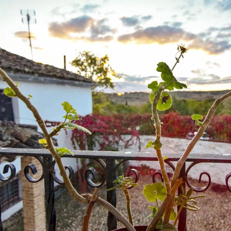 Casas Rurales Las Lagunas - Three-Bedroom Apartment - 11
