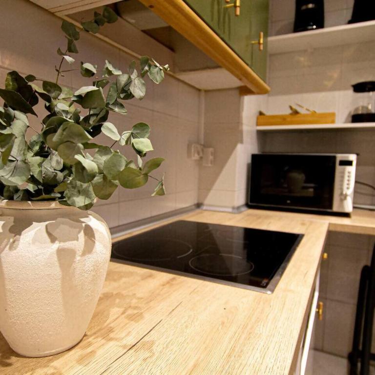 VUT Limoneros laranitasalmantina - Apartamento de 1 dormitorio - 11