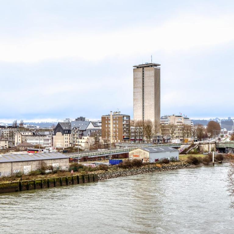 PERLE DE LA SEINE superbe F3 vue seine et cathédrale - Apartment - 18