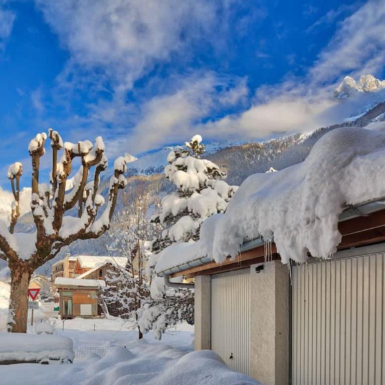 Apartment Serenite - Apartment with Mountain View - 21