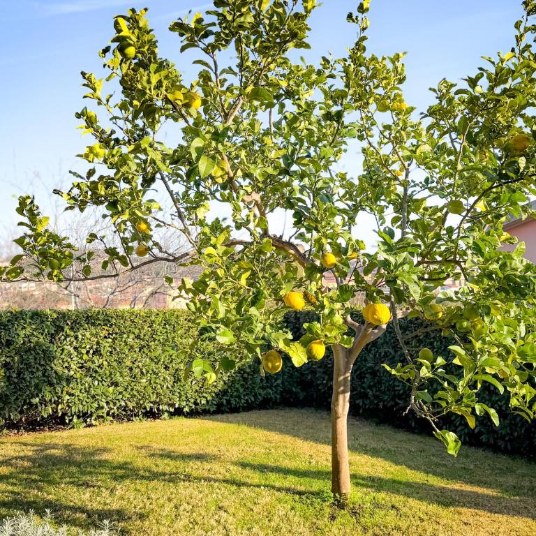Villetta Stella - HelloElba - Casa con 2 Camere da Letto - 17