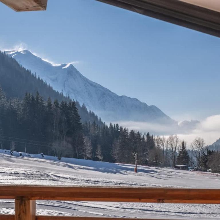 Chalet Les Grands Montets - Chalet - 8