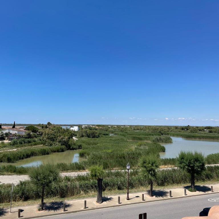 Appartement traversant Les Saintes vue sur Etangs camargue - Appartamento - 15
