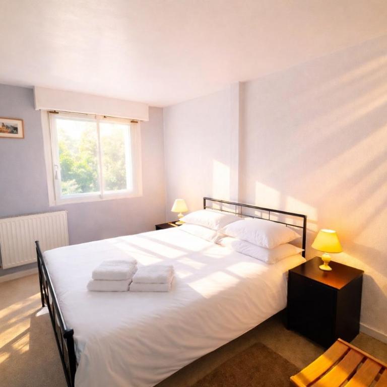 Apartment 4 pers. 3 minutes from Clos Lucé - Appartement - 8