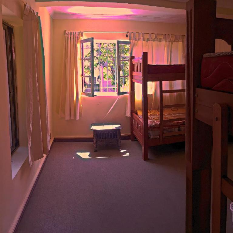 Greenhouse Bolivia - Cama en habitación compartida mixta de 4 camas - 4