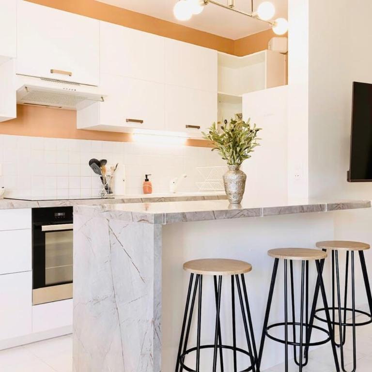 Le Calmette - Logement Confort Centre Cannes - Appartement 1 Chambre - 21