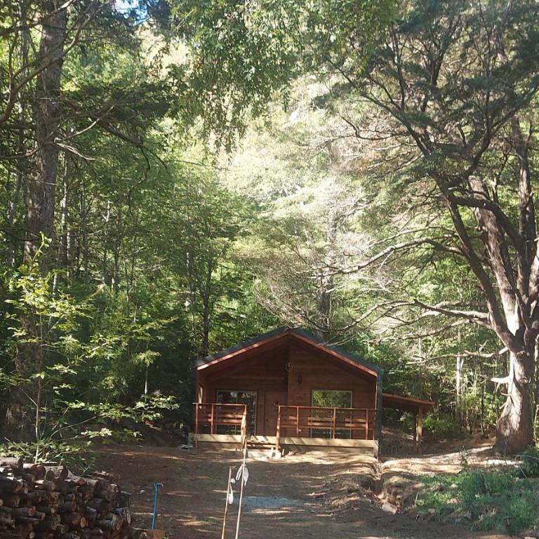 Cafeteria y cabañas Eluney - Koigue - One-Bedroom House - 6